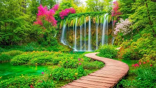 Musica Curativa Por Trastornos De Ansiedad Miedos Depresion Y Eliminar Pensamientos Negativos 