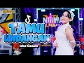 Lagu TAMU UNDANGAN - ICHA KISWARA | OM NIRWANA COMEBACK (LIVE MUSIC VIDEO)