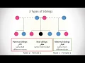 Lesson 3 Definitions Male-Female Ratio - Practical Guide to Islamic Laws of Inheritance