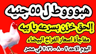 اسعار الفراخ البيضاء اليوم  سعر الفراخ البيضاء اليوم الاحد          في مصر جمله وقطاعي دندنها