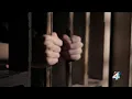 Nonprofit Bail Project expands efforts to Jacksonville as it works to end mass incarceration