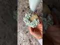 Beginner Hydrangea Cupcake with tip 2D
