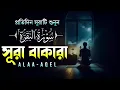 Download Lagu ঘরের উন্নতির জন্য সূরা বাকারা প্রতিদিন শুনুন I Surah Al Baqarah Full Quran Recitation | Alaa Akl