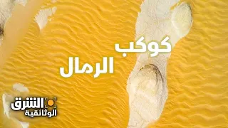 كوكب الرمال الصحراء الكبرى الشرق الوثائقية 