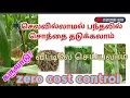 Lagu கருவாட்டு பொறி /fish meal trap/ control flies zero cost 