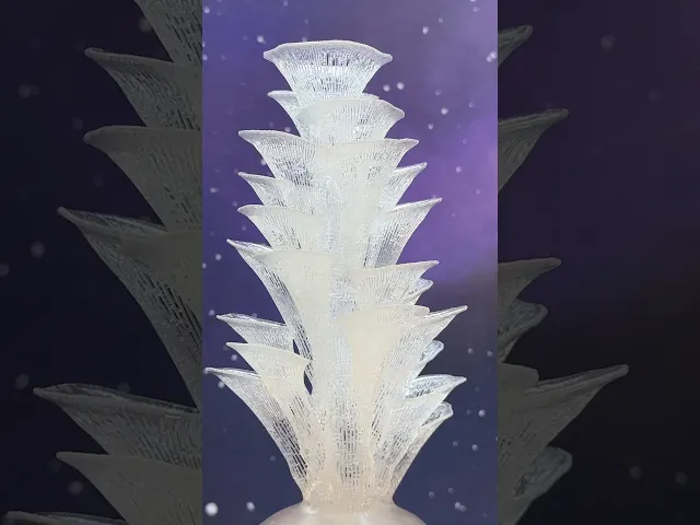 Stellar Blooms video thumbnail