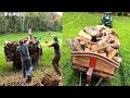Lagu Hauling Huge Loads Of Firewood Home!