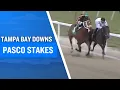 2025 150 000 Pasco Stakes at Tampa Bay Downs