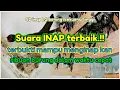 Download Lagu SUARA INAP BERKUALITAS DAN TERBAIK MP3 | CD INAP LG BENING SOLUSINYA