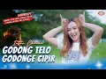 Download Lagu INTAN CHACHA - GODONG TELO GODONGE CIPIR