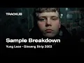 Download Lagu Sample Breakdown: Yung Lean - Ginseng Strip 2002