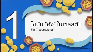 ภาวะตับคั่งไขมัน คืออะไร และเกิดขึ้นได้อย่างไรในระดับเซลล์