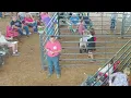 2024 Meigs County Fair Livestock Sale Lambs