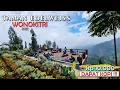 Download Lagu Taman EDELWEISS Wonokitri asli KEREN !!! sebelum ke BROMO mampir sini dulu