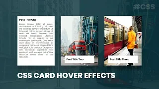 CSS Card Hover Effects Html CSS