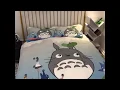Cartoon Totoro 3D Bedding Set Duvet Covers Pillowcases Comforter Bedding Sets