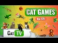 Download Lagu CAT Games | Ultieme Cat TV-compilatie Vol 171 | 8 UUR 🐝🐞🦋🦎🦜🐜🐭🧵