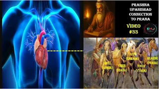 Video #33 - Knowledge of Five senses connecting to Five Pranas