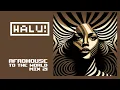Download Lagu HALU! - AfroHouse To The World Mix 21