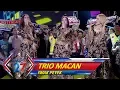 Sidoarjo Menggema, Trio Macan [IWAK PEYEK] - Kilau Raya MNCTV 27 (20/10)