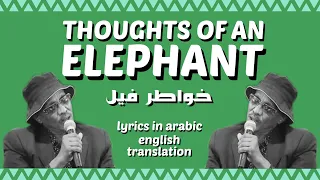                             خواطر فيل                                                دندنها