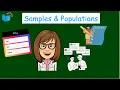 What are Samples and Populations 7 SP A 1 Math Defined