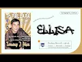 Download Lagu Tommy J Pisa ft New Pallapa - Ellisa (Official Music Video)