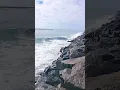 Secret Surfing Spot In San Diego California Cali Surfer Surf Report