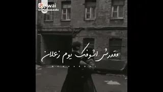 كل يوم سهران الليل حماده الاسمر حالات واتس اب 