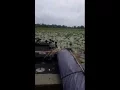 22hp predator with a mud skipper kit 9 5 in prop