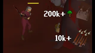 NEW Bloodwood Seeking Arrow Gathering Example - 200k 10k