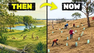 We’re Recreating a Lost Ecosystem