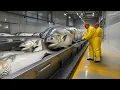 Lagu Di Dalam Pabrik Pengolahan Salmon Modern: Bagaimana Salmon Dibuat (Proses Lengkap)