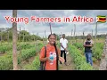 Lagu #Farming in Zimbabwe#agricultural#tomatofarming.Growing tomato in rainy Season1#africa# Horticulture
