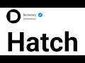 Hatch Meaning In English