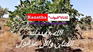 الله يهديك قلبي صغير ومتربي حرام عليك لا تدلو ع المحبي الفنان وائل عزقول دندنها