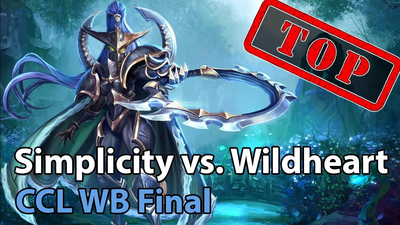 Winner Bracket Final: Simplicity vs. Wildheart Heroes of the Storm