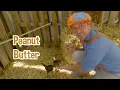 Blippi Learns Healthy Eating For Kids At Tanaka Farm | Educational Videos For Toddlers