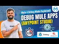 How to Debug Mule Application in Anypoint Studio Mule 4 Debug Mode Explained