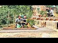 Download Lagu Girl and garden engineer plant beautiful flowers for her house