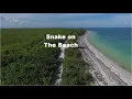 Download Lagu Snake on the Beach - Nico Staf - BEST SONG 2023
