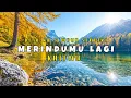 Lagu MERINDUMU LAGI-Khifnu (Cover/Lirik)