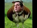 Devin Nunes Sues A Fake Cow For Making Fun of Him