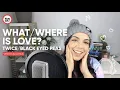 Download Lagu [PANDA'S COVER] What is Love - Twice /  Where is the Love -  Black Eyed Peas (Acoustic cover)