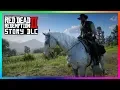 Red Dead Redemption 2 Story Mode DLC Content - NEW HORSES How To Find The RARE Few Spot Appaloosa