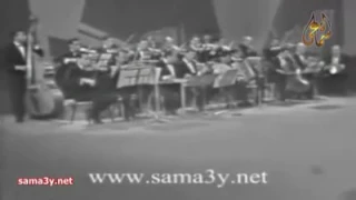 محمد عبد المطلب   حبيتك وبحبك على طول دندنها