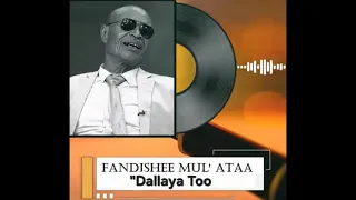 Fandishee Mullata Best Oromo Song Of 1980s Dallaya Too OBNoromiyaa Oromp3 Gelanagaromsa6119 