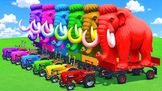 Can a MINI PORSCHE move a GIANT MAMMOTH? (FS25)