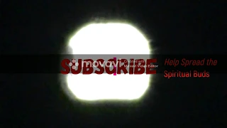 The Spirit Seed