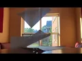 Perceptual Principle - Shape Constancy